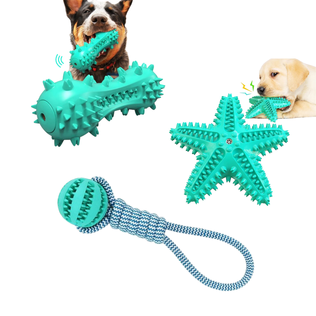 Paquet de 3 brosses à dents grinçantes et jouets pour chiens en corde de coton